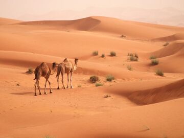 Yeni Dünya Dubai Turu