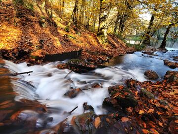 Sonbahar'a Özel Batı Karadeniz Turu