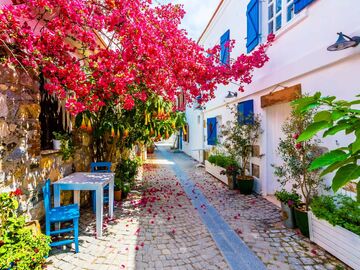 Seferihisar Mandalina Festivali Turu