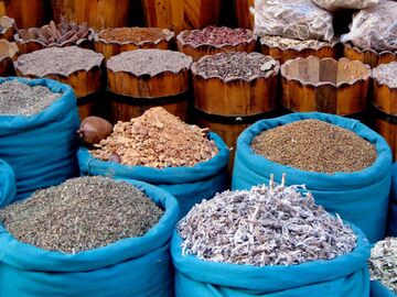 Mega Mısır Turu Sömestr Özel