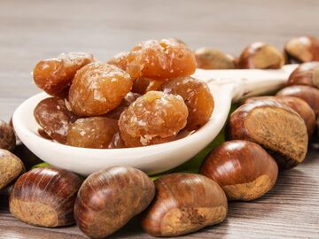 Bursa | Gölcük | Sapanca | Ormanya Turu