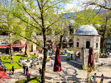 Bursa | Gölcük | Sapanca | Ormanya Turu