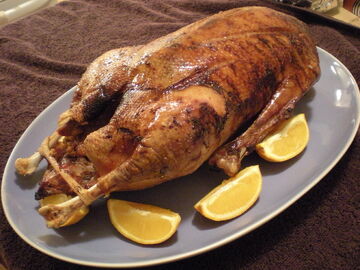 Turistik Doğu Ekspresi / 20 Şubat