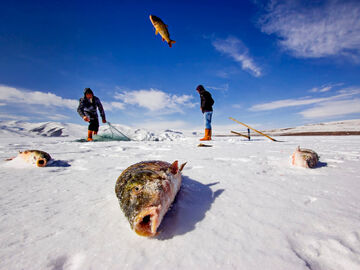 Turistik Doğu Ekspresi / 20 Şubat