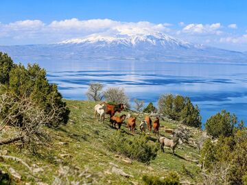 Büyük Doğu Anadolu Turu