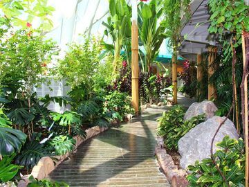 Konya Lale Bahçeleri Turu