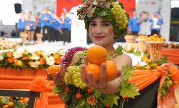 Seferihisar Mandalina Festivali Turu