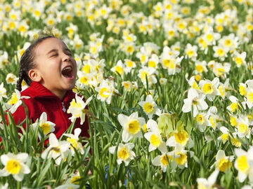 8. Karaburun Nergis Festivali Turu