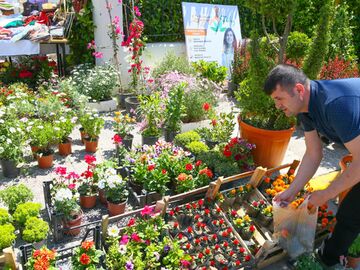 27. Bayındır Çiçek Festivali Turu