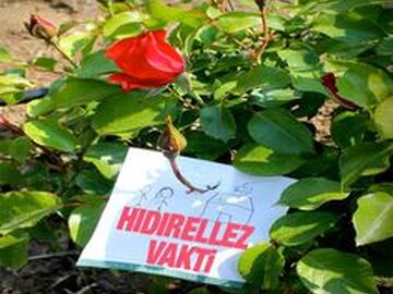 Manavgat - Side Turu