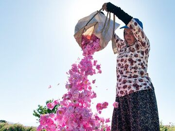 Isparta Gül Bahçeleri & Işıklıgöl Turu